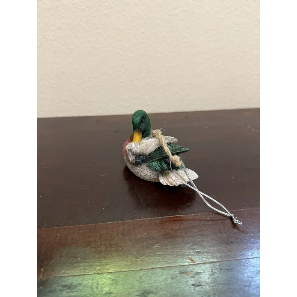 Unbranded mallard duck